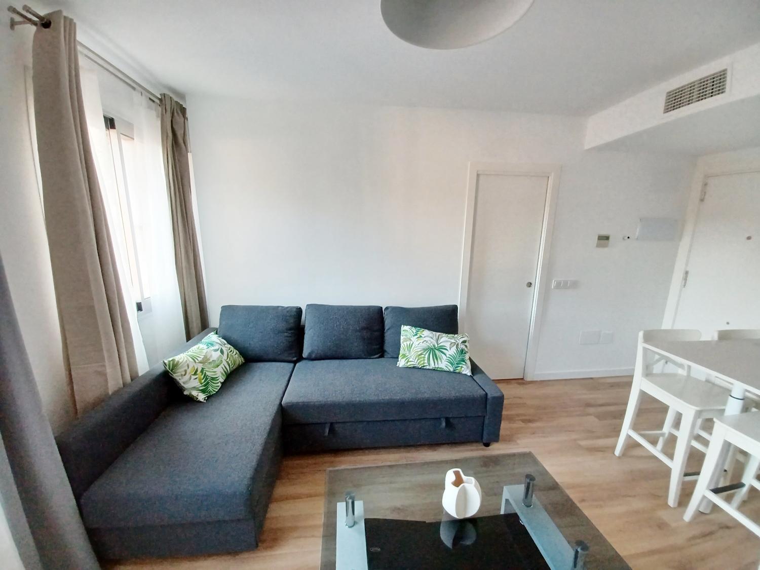 Cartagenaflats, Apartamentos Anfiteatro Romano エクステリア 写真